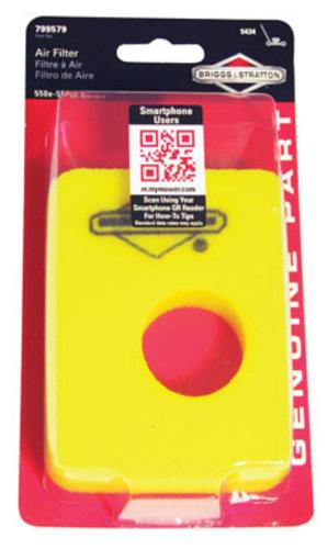 Briggs & Stratton 5434K Air Filter Element