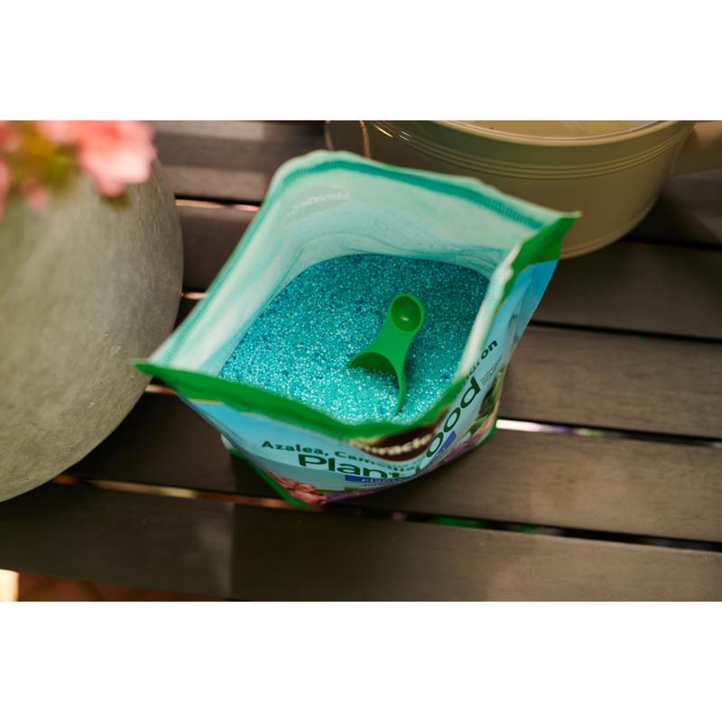 Miracle-Gro 3039806 Powder Acid-Loving Plants of Azalea, Camellia, Rhododendron Plant Food 5 lb