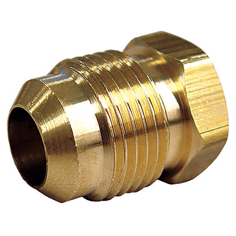 Homeplus+ 6JC120110701086 Flare Hex Plug, 1/2 Inch