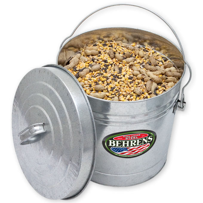 Behrens 6110 Galvanized Steel Locking Lid Can, 10 Gallon