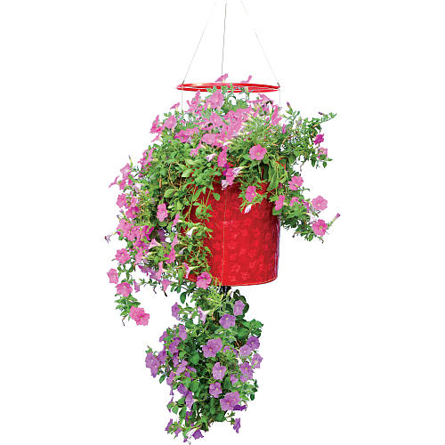 buy planters & pots at cheap rate in bulk. wholesale & retail landscape maintenance tools store.
