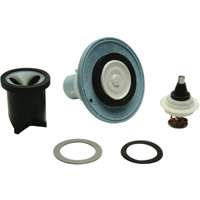 Zurn P6000-EUR-WS1-RK Flush Valve Repair Kits, 1 Gallon