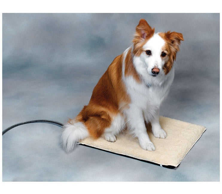 buy beds, mats & pillows, dogs at cheap rate in bulk. wholesale & retail bulk pet food supply store.