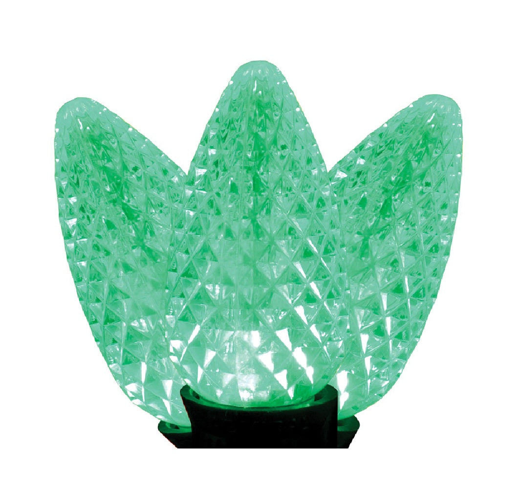Celebrations LEDR8-C925FGRA Platinum Christmas LED Light Set, Green