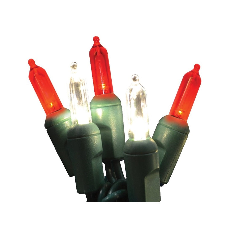 Holiday Bright Lights LEDBX-T550-CC6 LED Christmas Light Set, 50 Lights