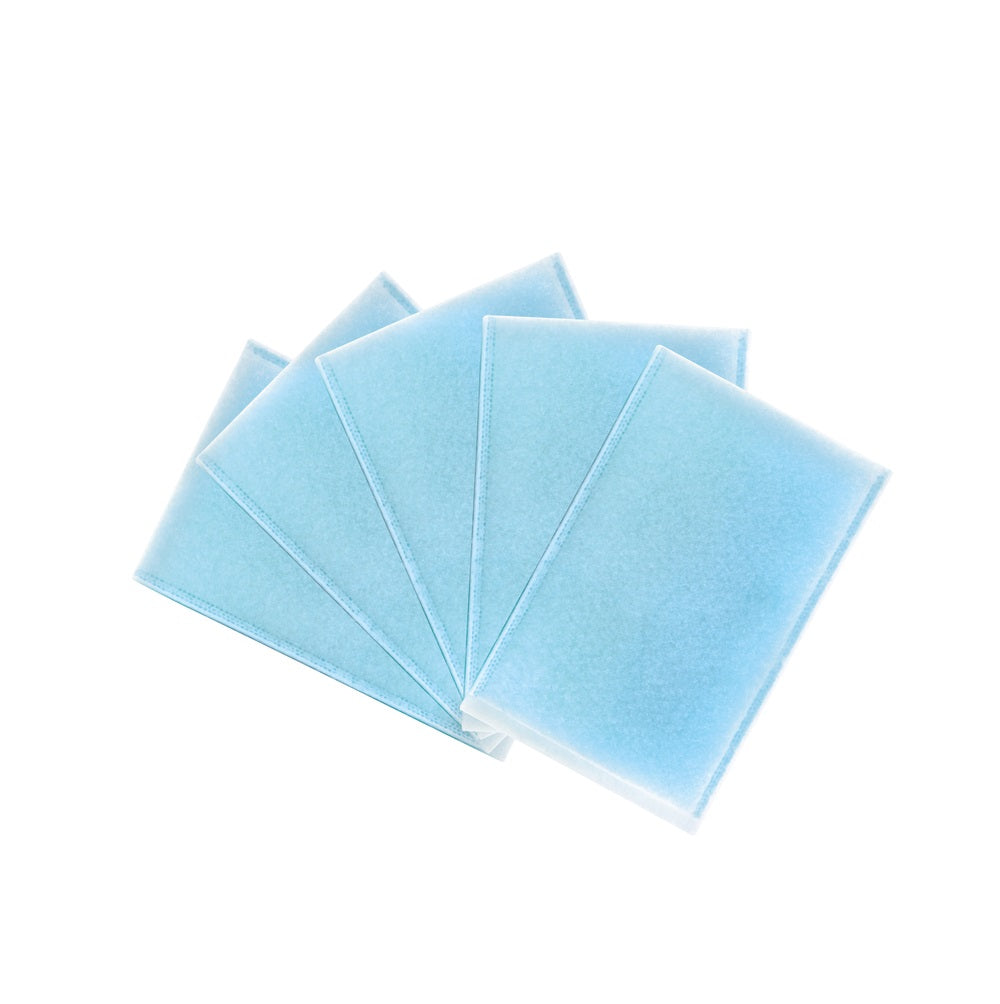 Pet Fresh PFWM0012 Wash Mitts, Blue, Polyester — LIfe and Home