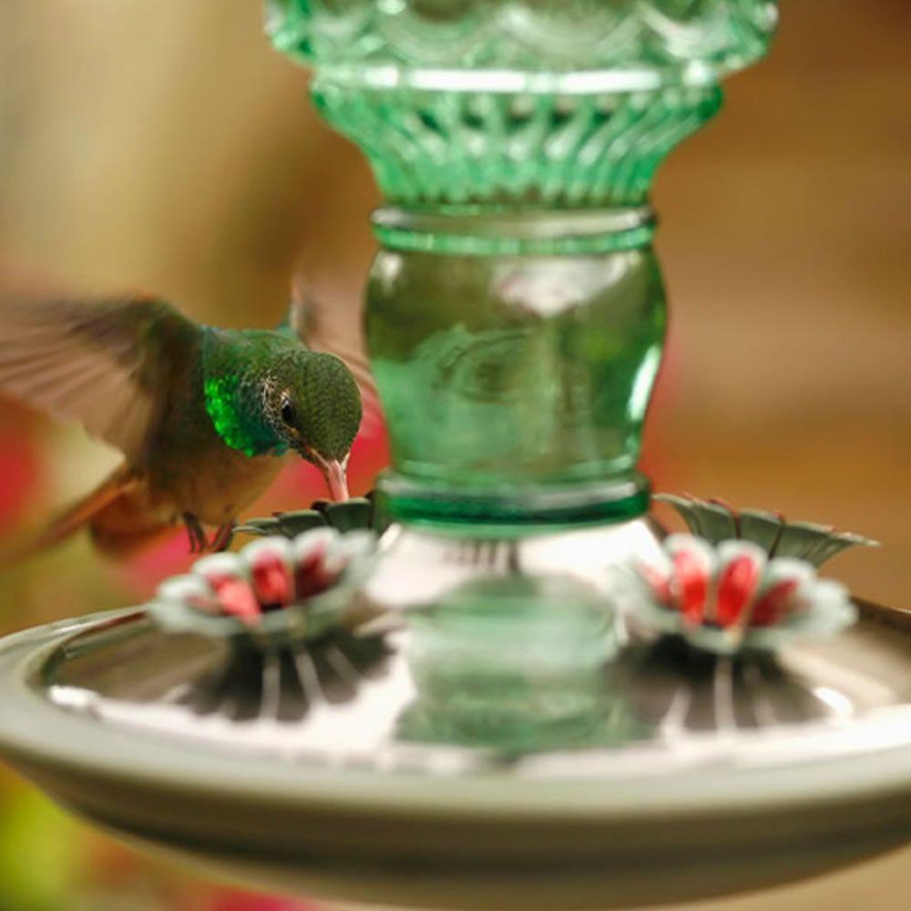 Perky Pet 8108-2 Antique Bottle Glass Hummingbird Feeder, 10 Oz
