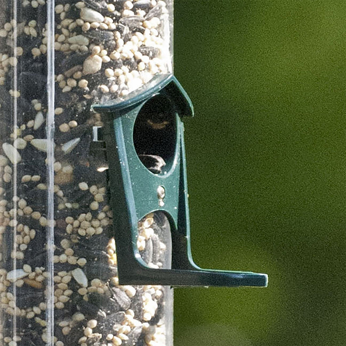 Audubon NATUBE12 Seed 6-Port Tube Feeder 2 Lbs Holds