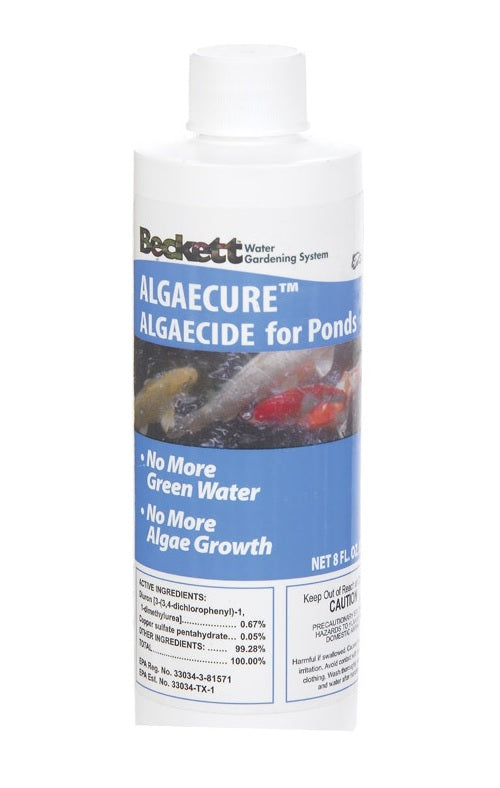 Beckett 7208810 Algeacure Copper Sulfate Algae Control, 7" x 5", 8 Oz