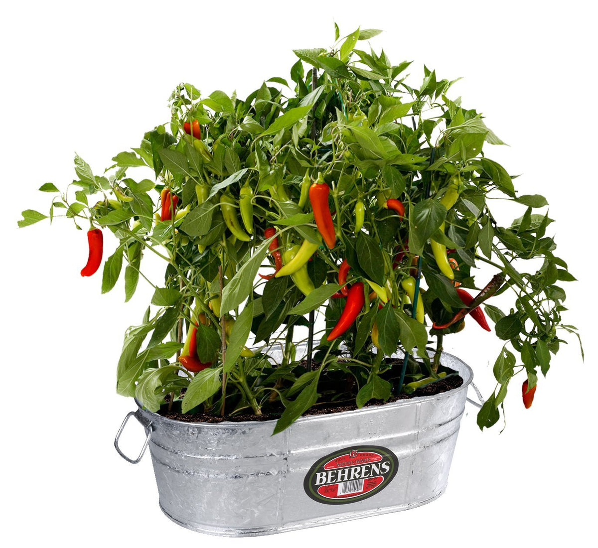 Behrens 0-OV Hot Dipped Steel Oval Tub, 5.5 Gallon