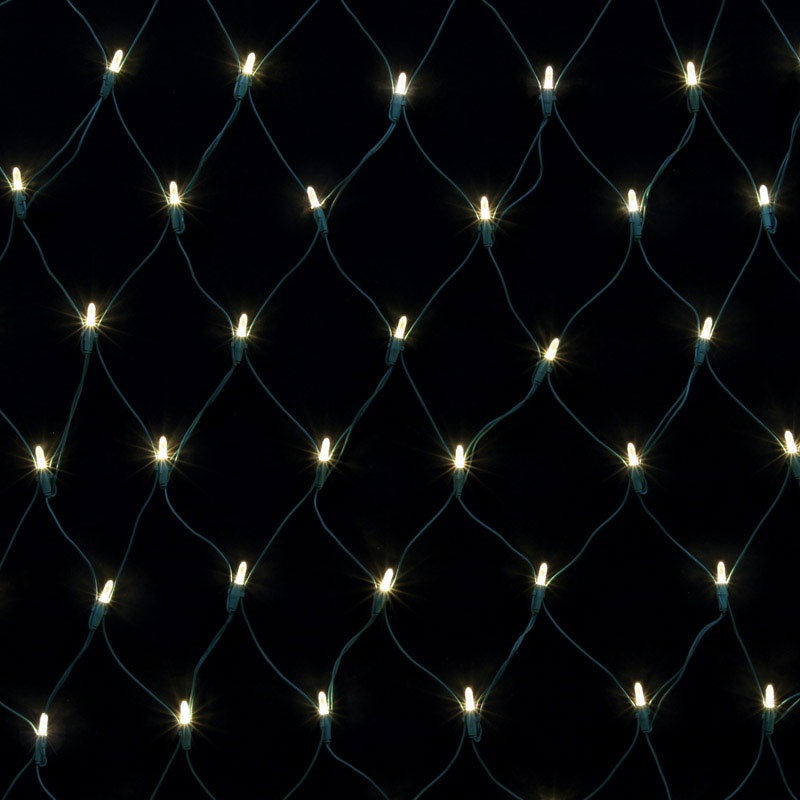Celebrations 5N100S55M1830AC Platinum LED Net Light Set, 4-3/4' x 4' , White