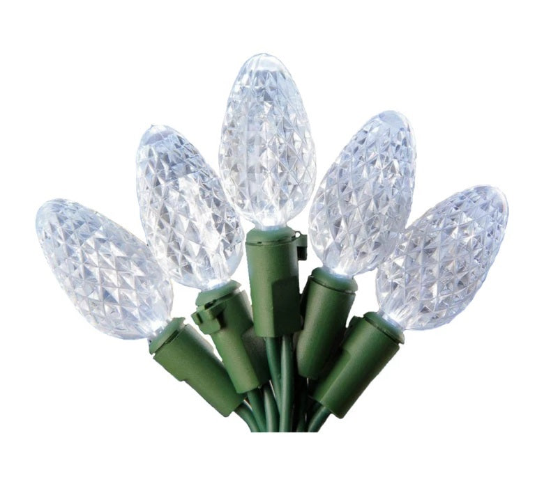 Celebrations 5S050S-C60130AC LED C6 Platinum Light Set On A Reel,  24-1/2 feet