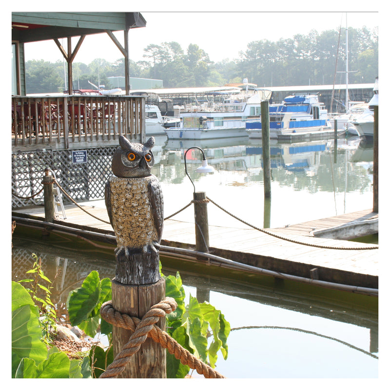 Dalen RH0-4 Scarecrow Rotating-Head Owl Animal Repellent Decoy, 18 inch