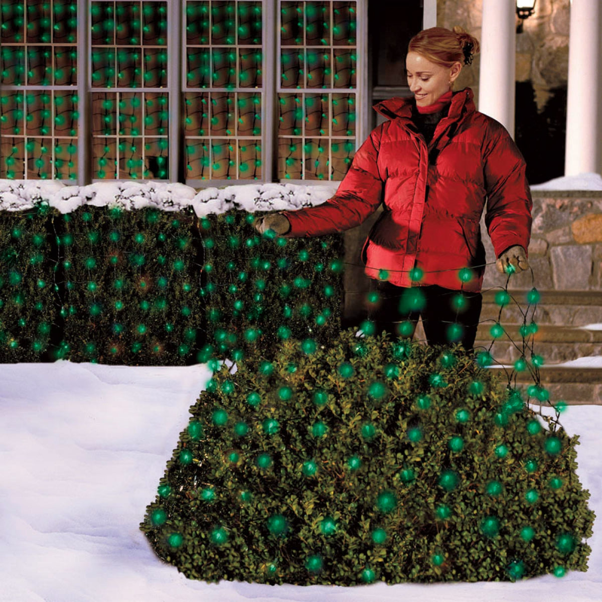 Celebrations 40804-71 LED Mini Net Light Set, 4' L x 6' W, Green