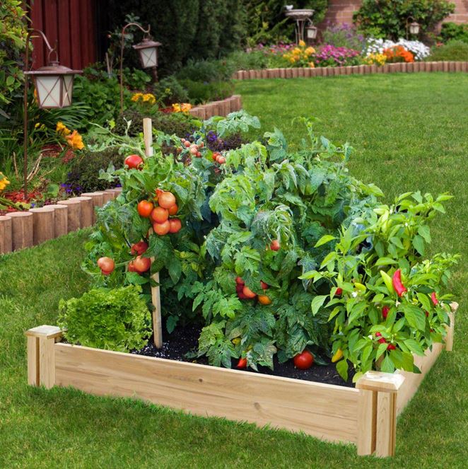 buy raised garden kits at cheap rate in bulk. wholesale & retail farm and gardening supplies store.