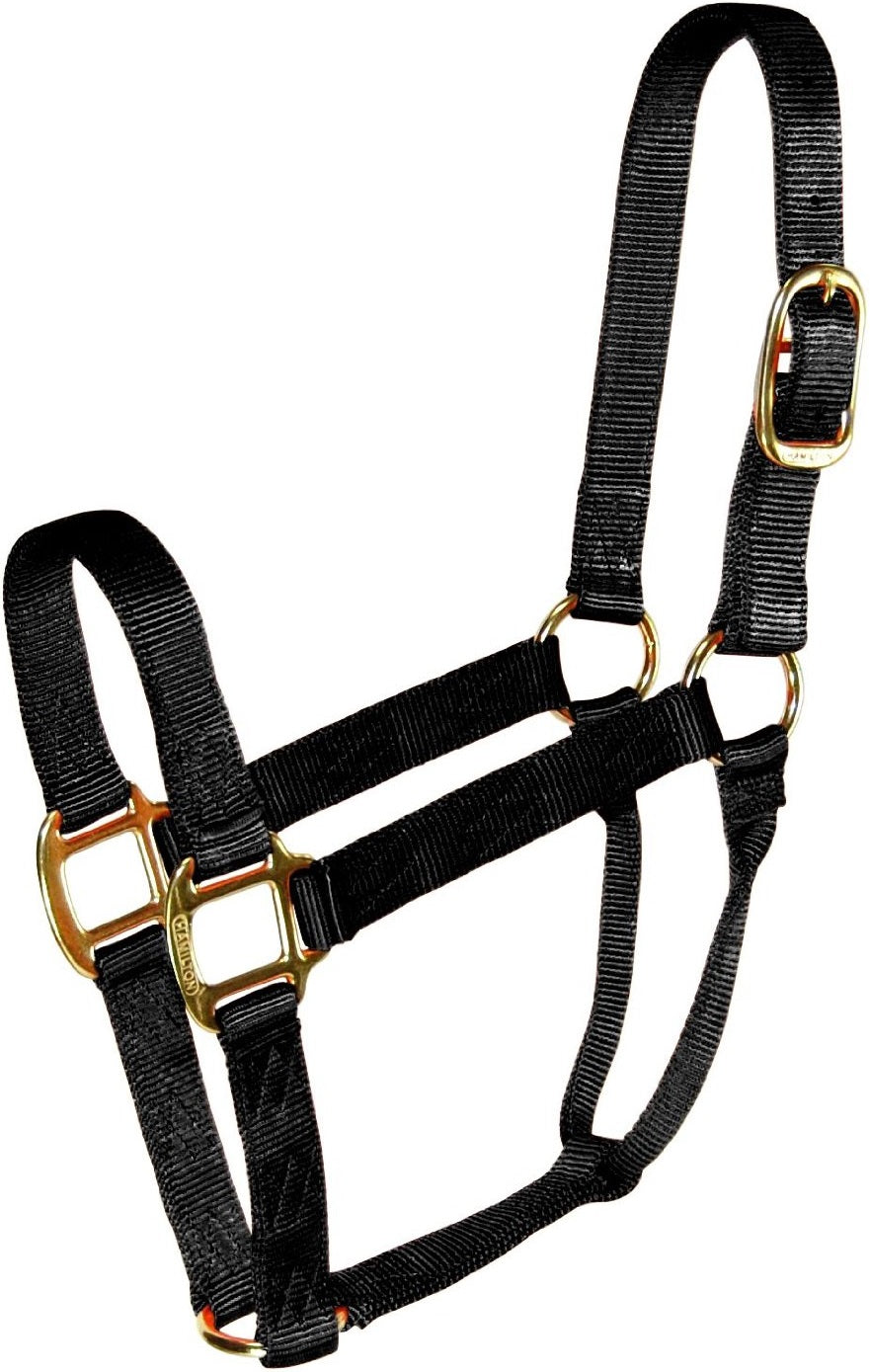 buy horse tack at cheap rate in bulk. wholesale & retail farm livestock equipments & tools store.