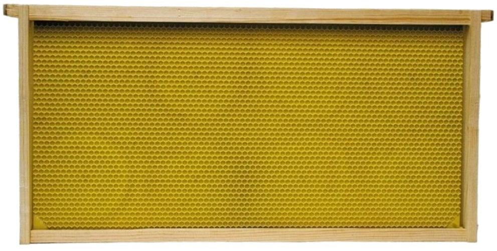 Harvest Lane Honey WWFFD-101 Deep Brood Plastic Foundation Frame