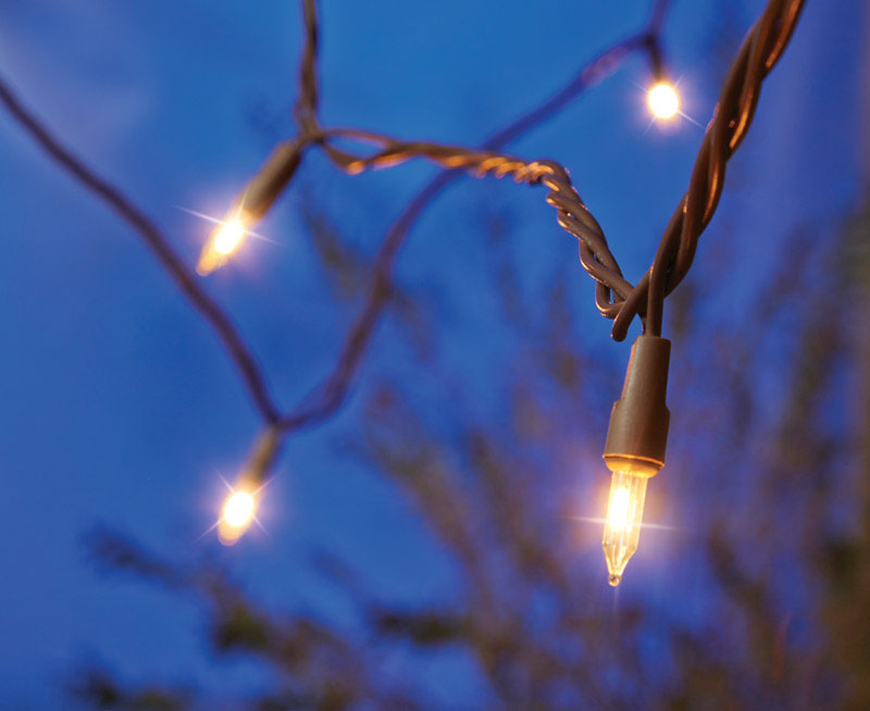 Living Accents 6947V111 Clear Mini Light Set, 49.6 ft. Long