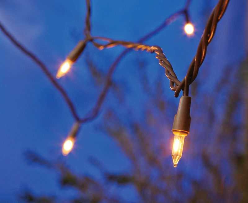 Living Accents 6947V111 Clear Mini Light Set, 49.6 ft. Long