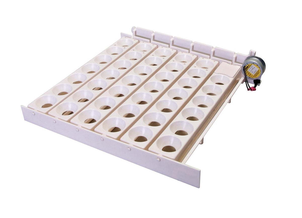 buy poultry equipment & supplies at cheap rate in bulk. wholesale & retail farm livestock maintenance items store.