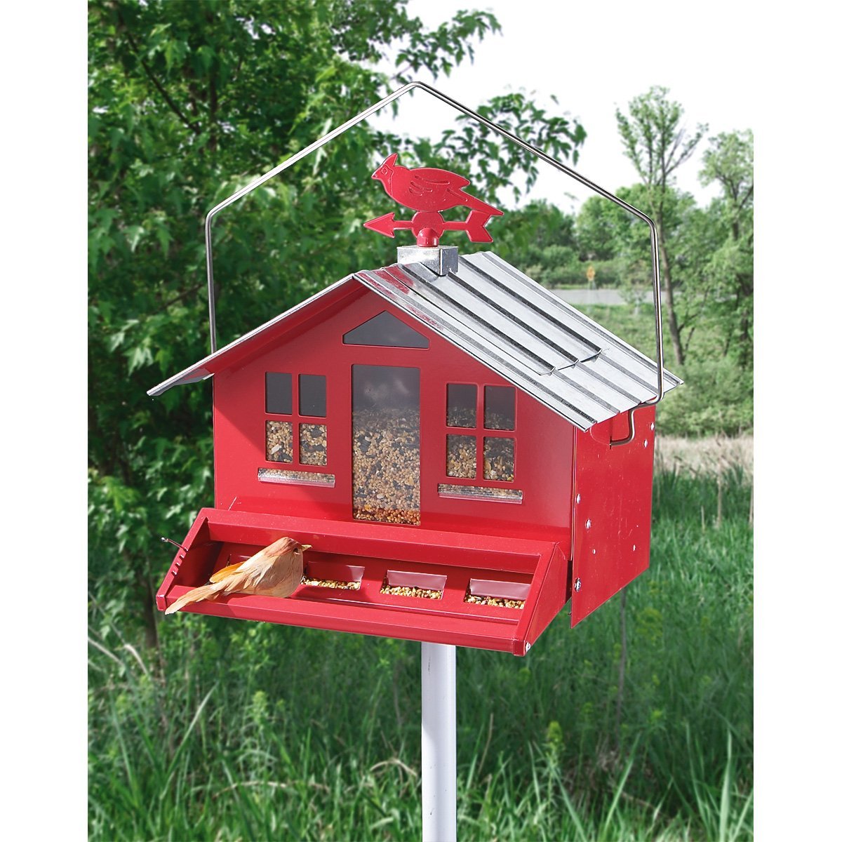Perky-Pet 338 Squirrel-Be-Gone II Country Style Wild Bird Feeder