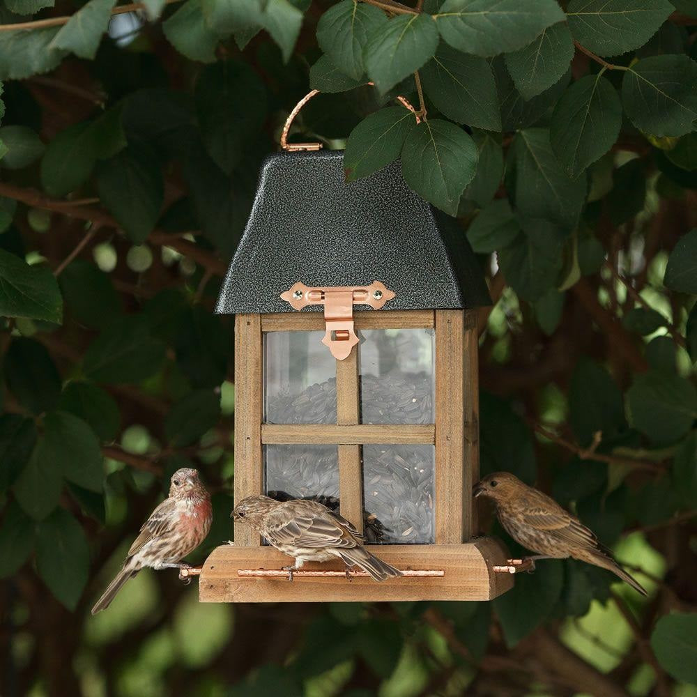 Perky-Pet 50173 Birdscapes Paul Revere Wild Bird Feeder, Wood