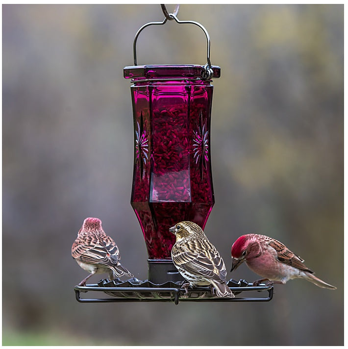 Perky-Pet 8137-2 Amethyst Starburst Vintage Wild Bird Feeder, 0.56 Lbs