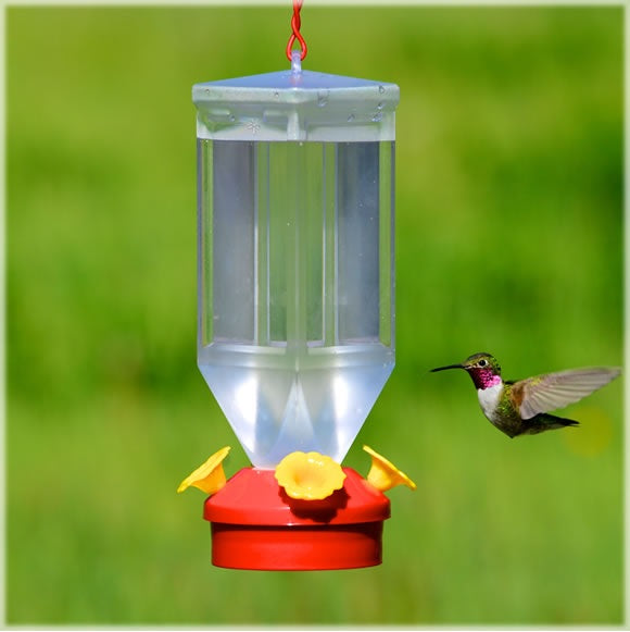 buy bird & squirrel items at cheap rate in bulk. wholesale & retail birds, cats & dogs supplies store. 