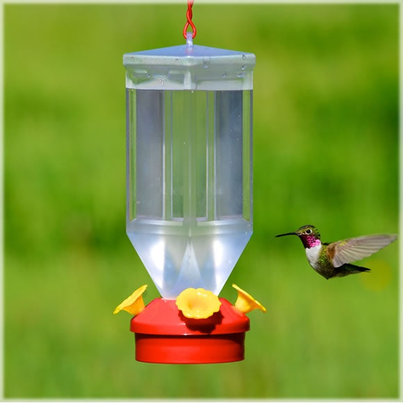 buy bird & squirrel items at cheap rate in bulk. wholesale & retail birds, cats & dogs supplies store.