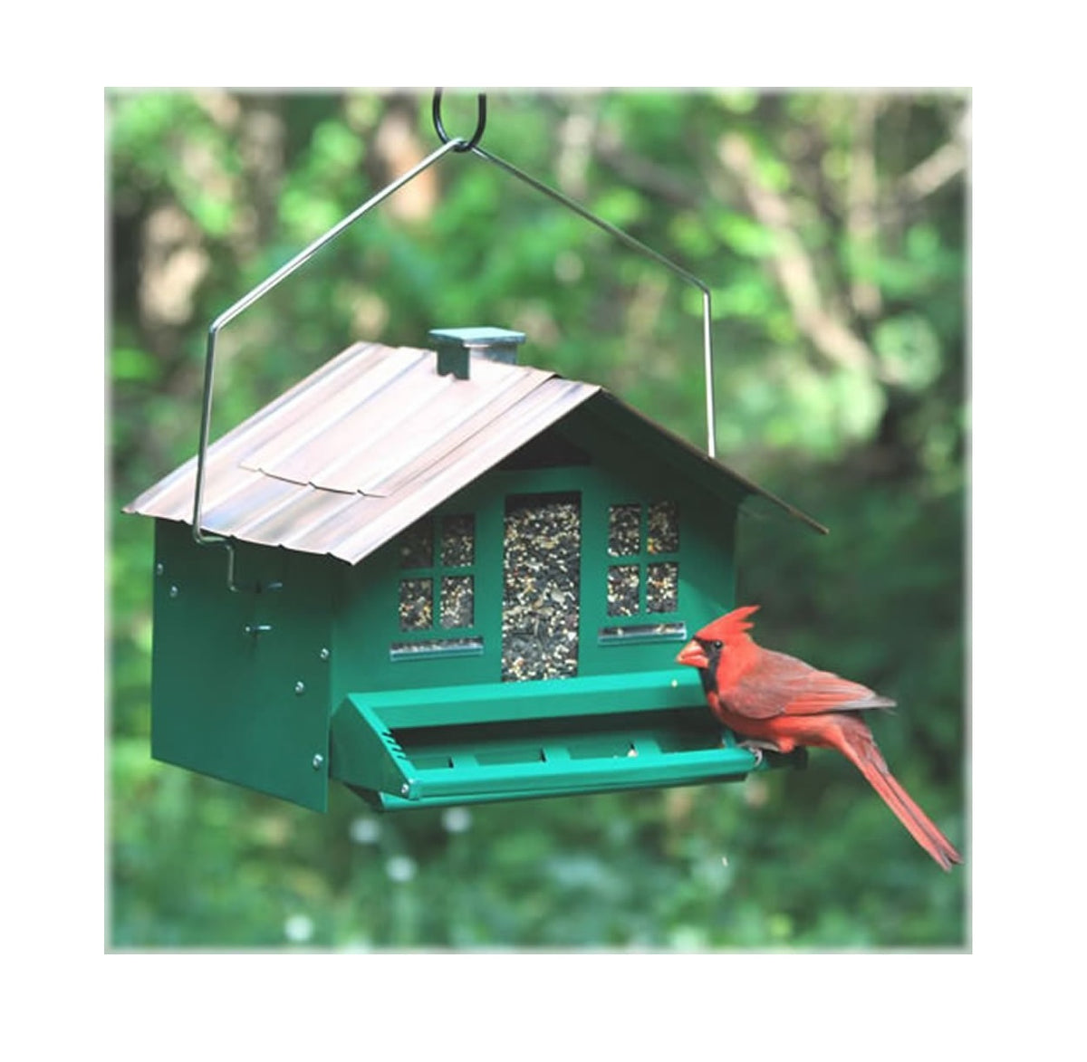 Perky Pet 339 Squirrel-Be-Gone II Home Style Wild Bird Feeder, 12 Lbs