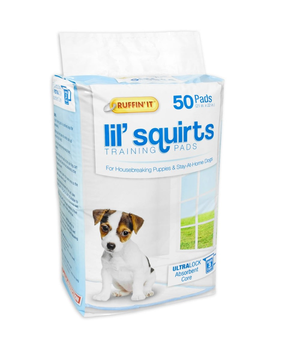 buy training & behavior, dogs at cheap rate in bulk. wholesale & retail bulk pet care supplies store.