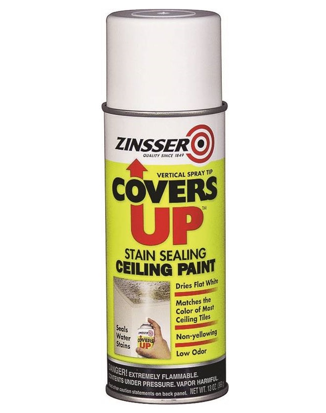 Stain Sealing Ceiling Paint 13 Oz. on sale, painting equipments at low