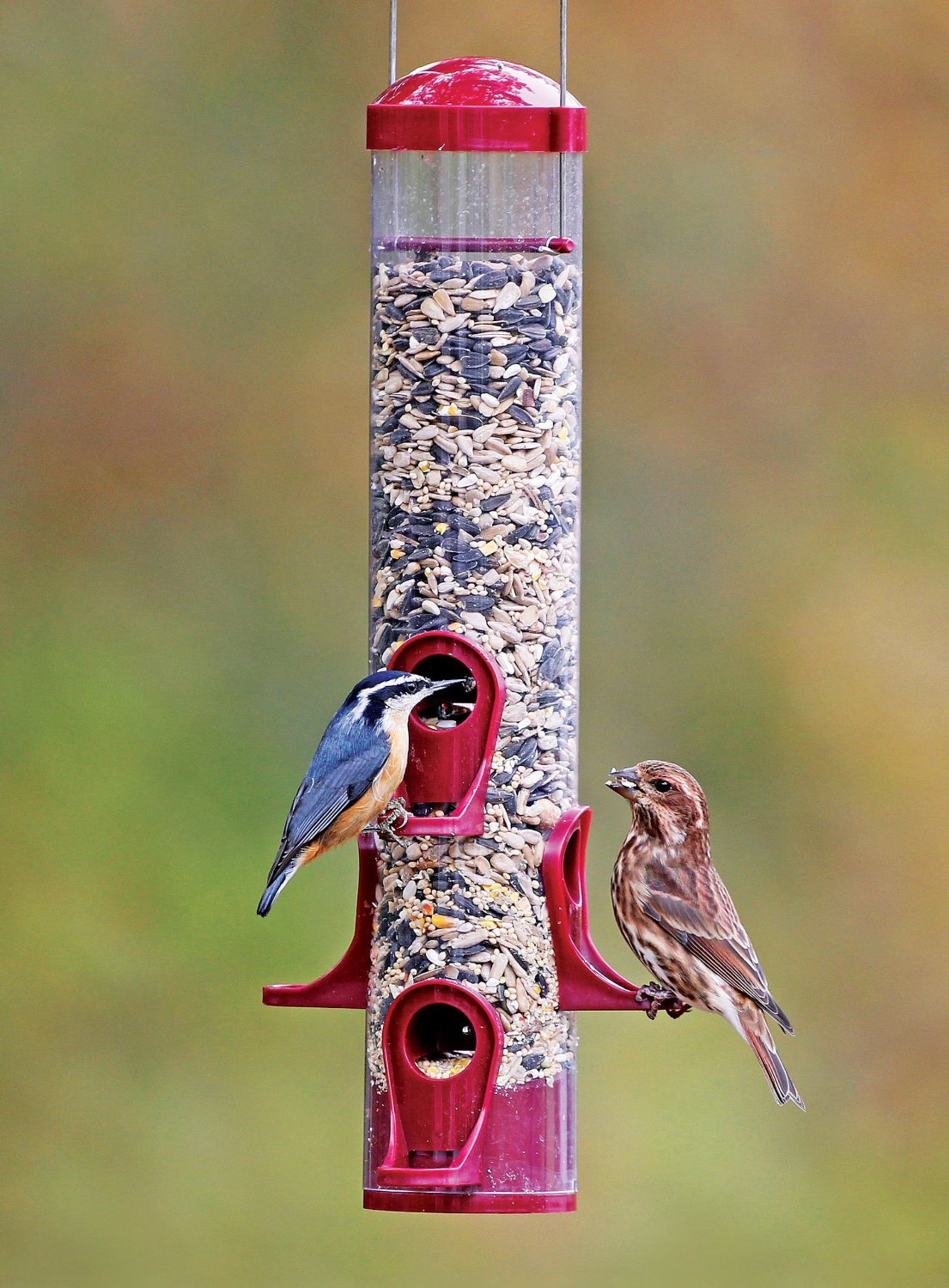 Stokes Select 38223 Seed Tube Bird Feeder, 15"