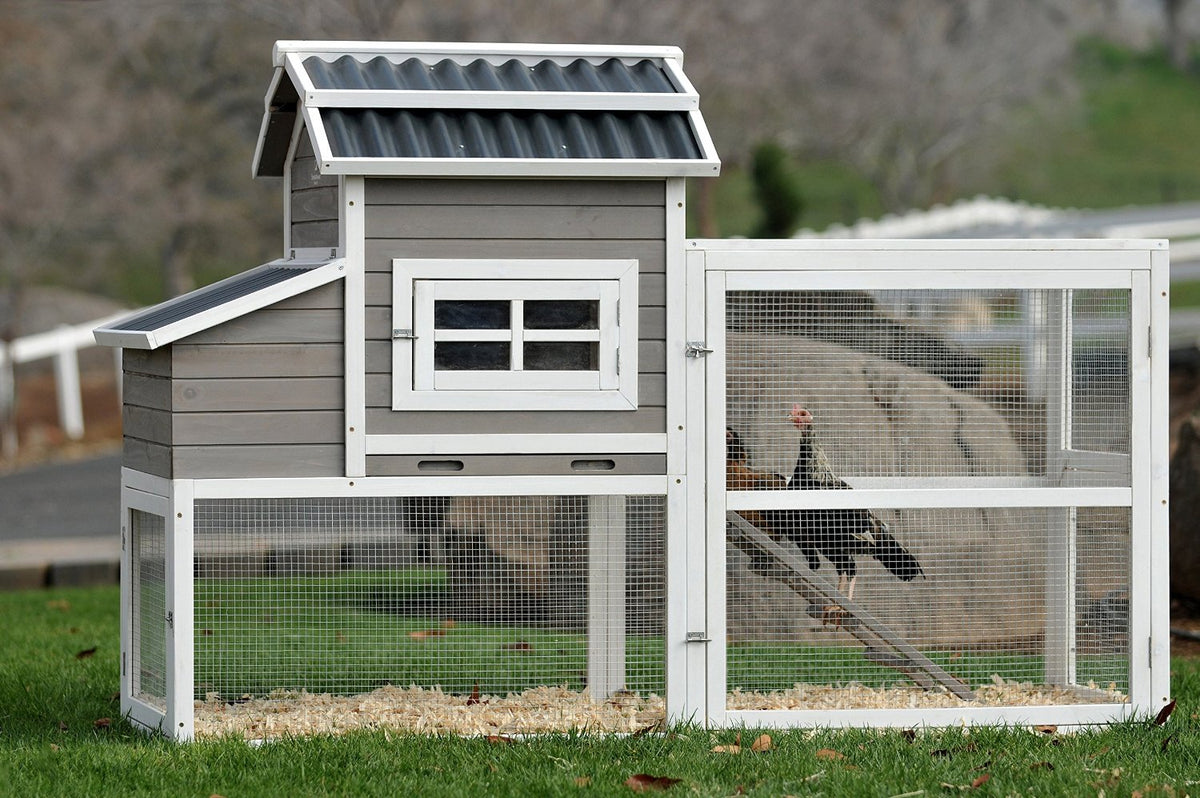 buy poultry equipment & supplies at cheap rate in bulk. wholesale & retail farm livestock equipments & tools store.