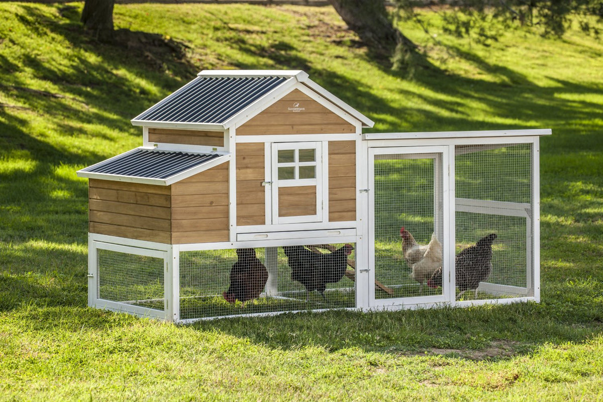 buy poultry equipment & supplies at cheap rate in bulk. wholesale & retail farm storage & maintenance store.