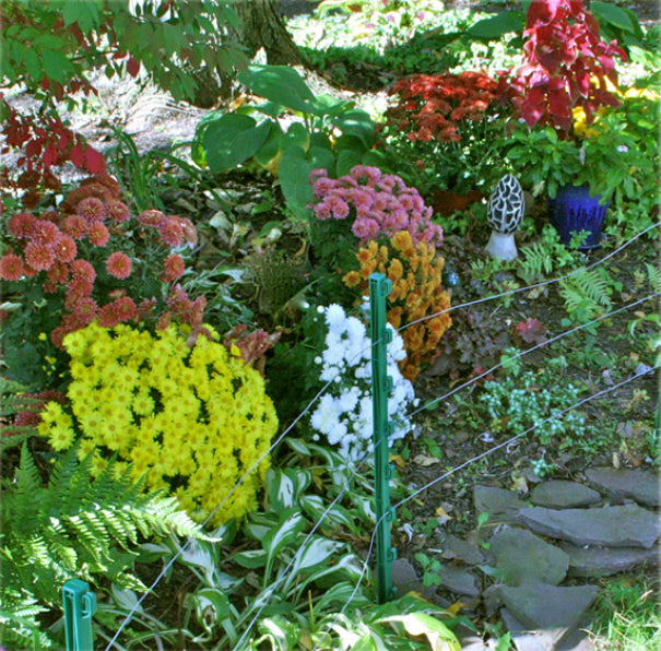 Buy zareba ac garden protector electric fence kit - Online store for fencing, fence accessories in USA, on sale, low price, discount deals, coupon code