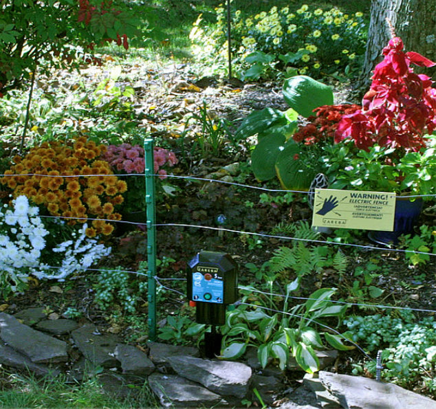 buy electric & fencing at cheap rate in bulk. wholesale & retail garden pots and planters store.