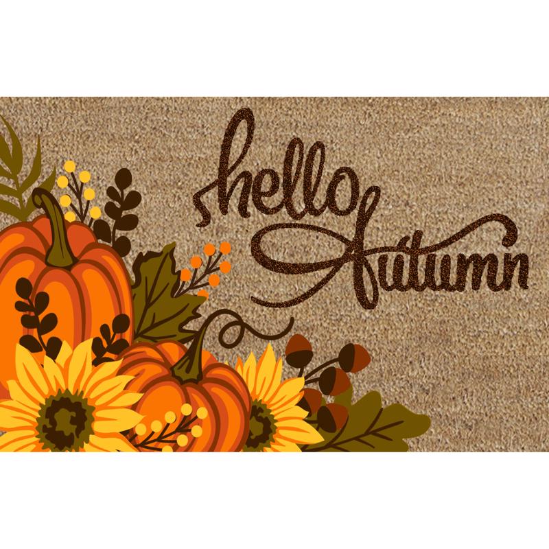Rockport Premium VBC1828G-HAR272 Hello Autumn Door Mat, Multicolored