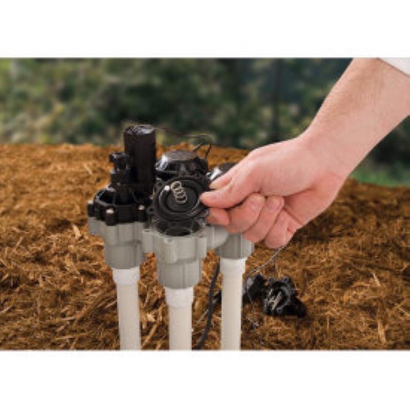 Rain Bird DASASVF100 Anti-Siphon Valve with Flow Control, Plastic