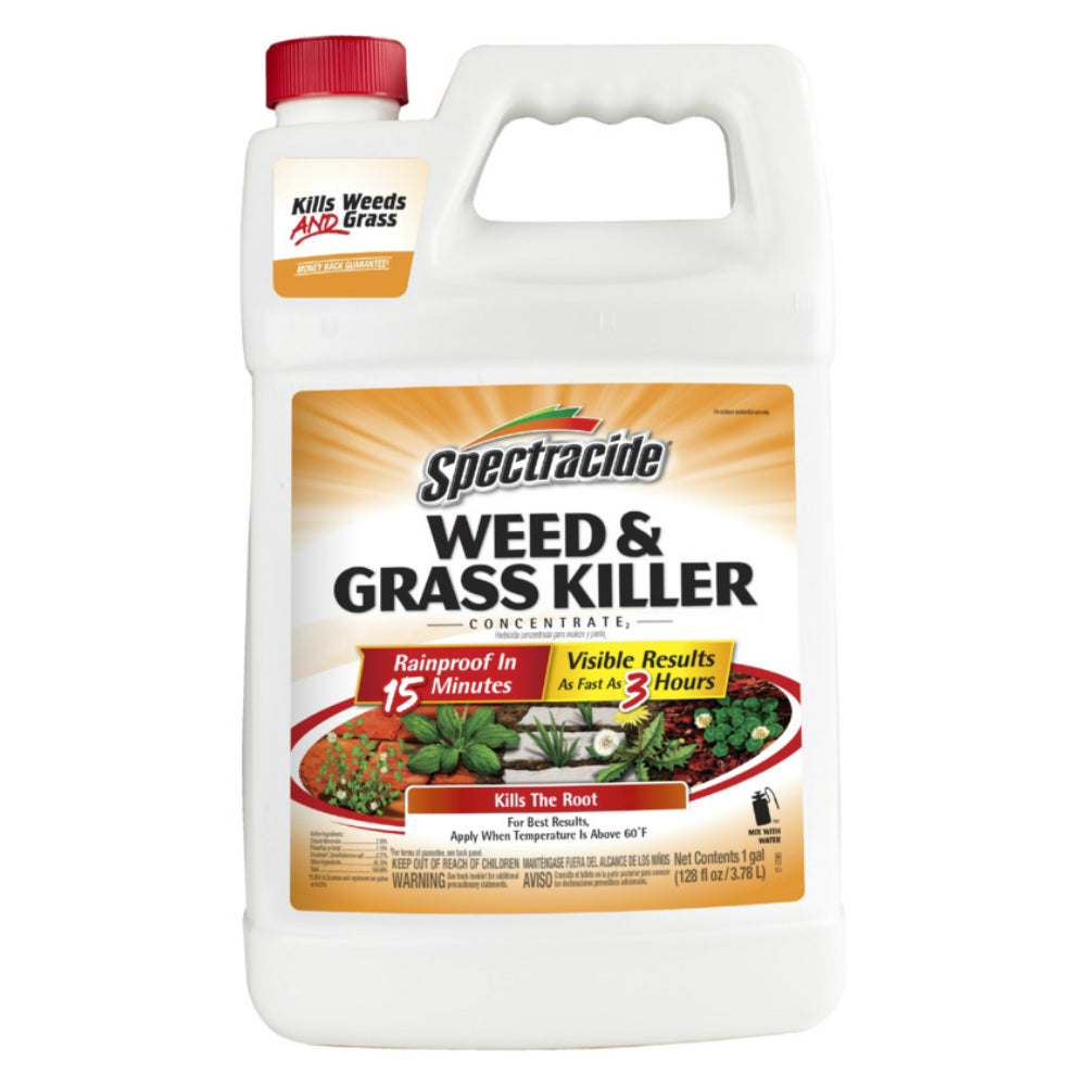 Spectracide HG-96620 Concentrated Weed and Grass Killer, 1 Gallon