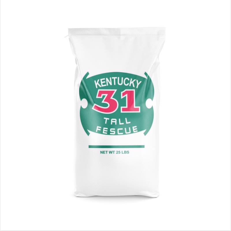 Barenbrug 25 lb. KY 31 Grass Seed