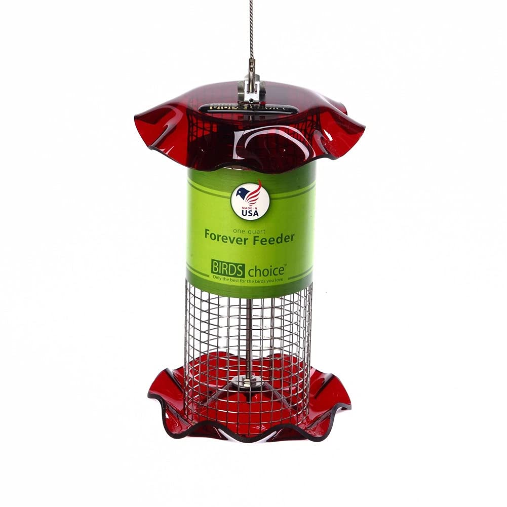 Bird's Choice Sunflower Seed Forever Feeder 1 LB Cap Red