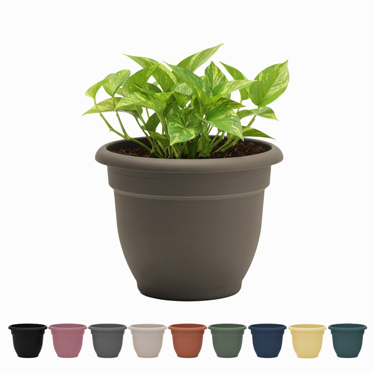 Bloem Ariana 12" Planter - Peppercorn
