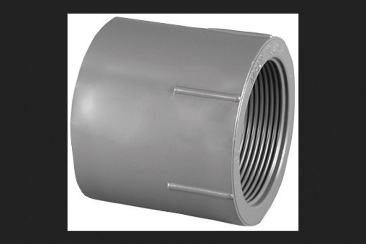 Charlotte Pipe 1-1/4 in. Schedule 80 Slip x Female Pipe Thread PVC Adapter