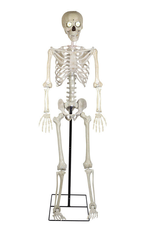 Gemmy 70467 Halloween Talking Human Skeleton, Stone