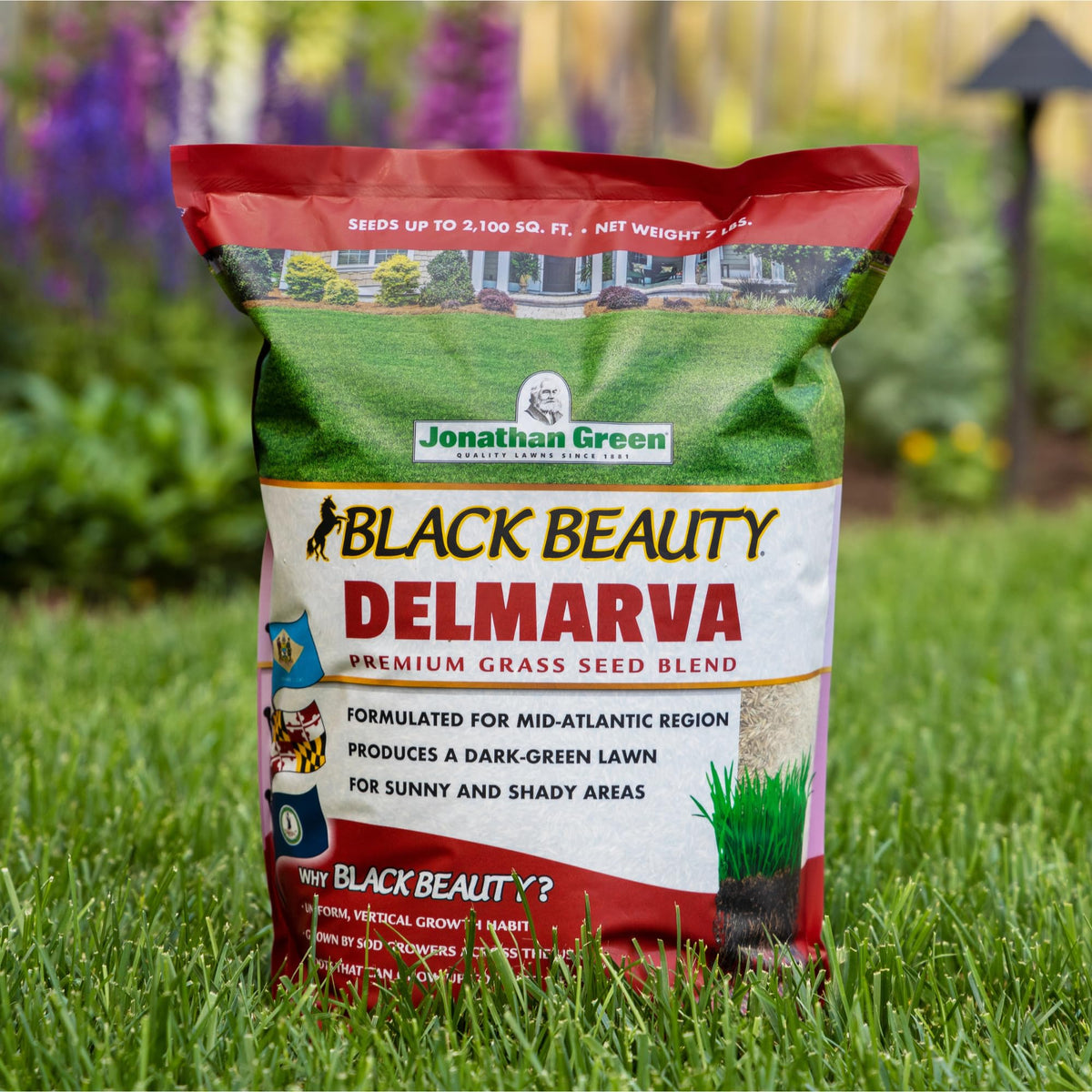 Jonathan Green Black Beauty Delmarva Grass Seed Mixture 25 lb