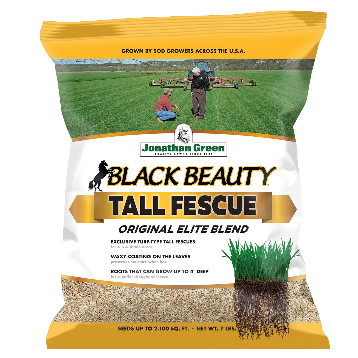 Jonathan Green Black Beauty Tall Fescue Grass Seed Mixture, 7 lb