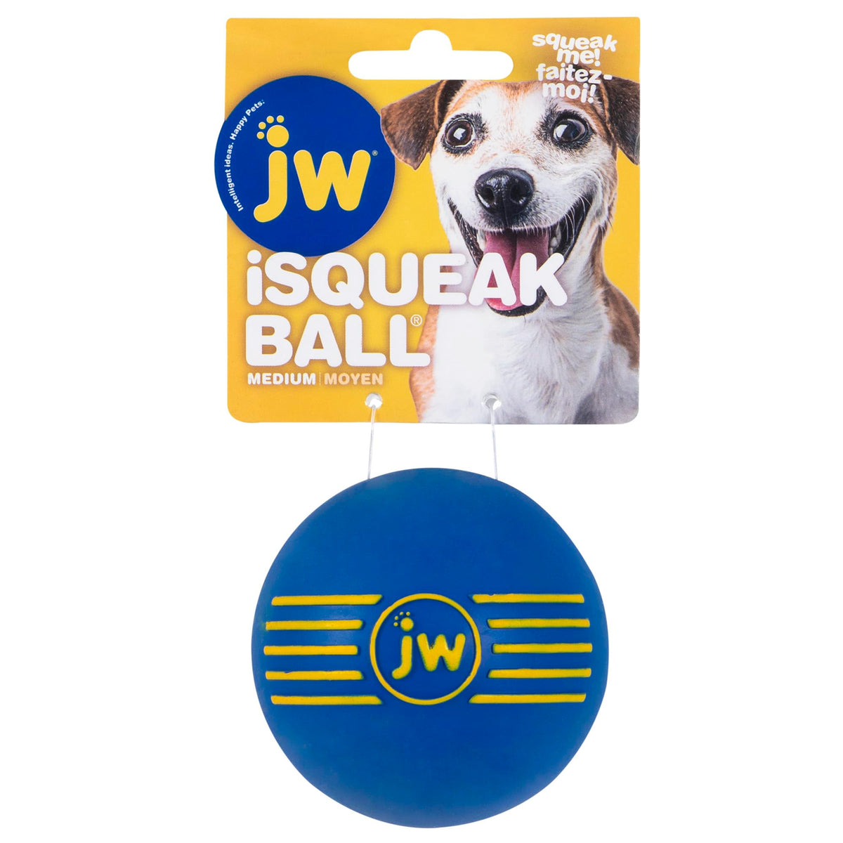 JW Pet iSqueak Ball Dog Toy, Medium