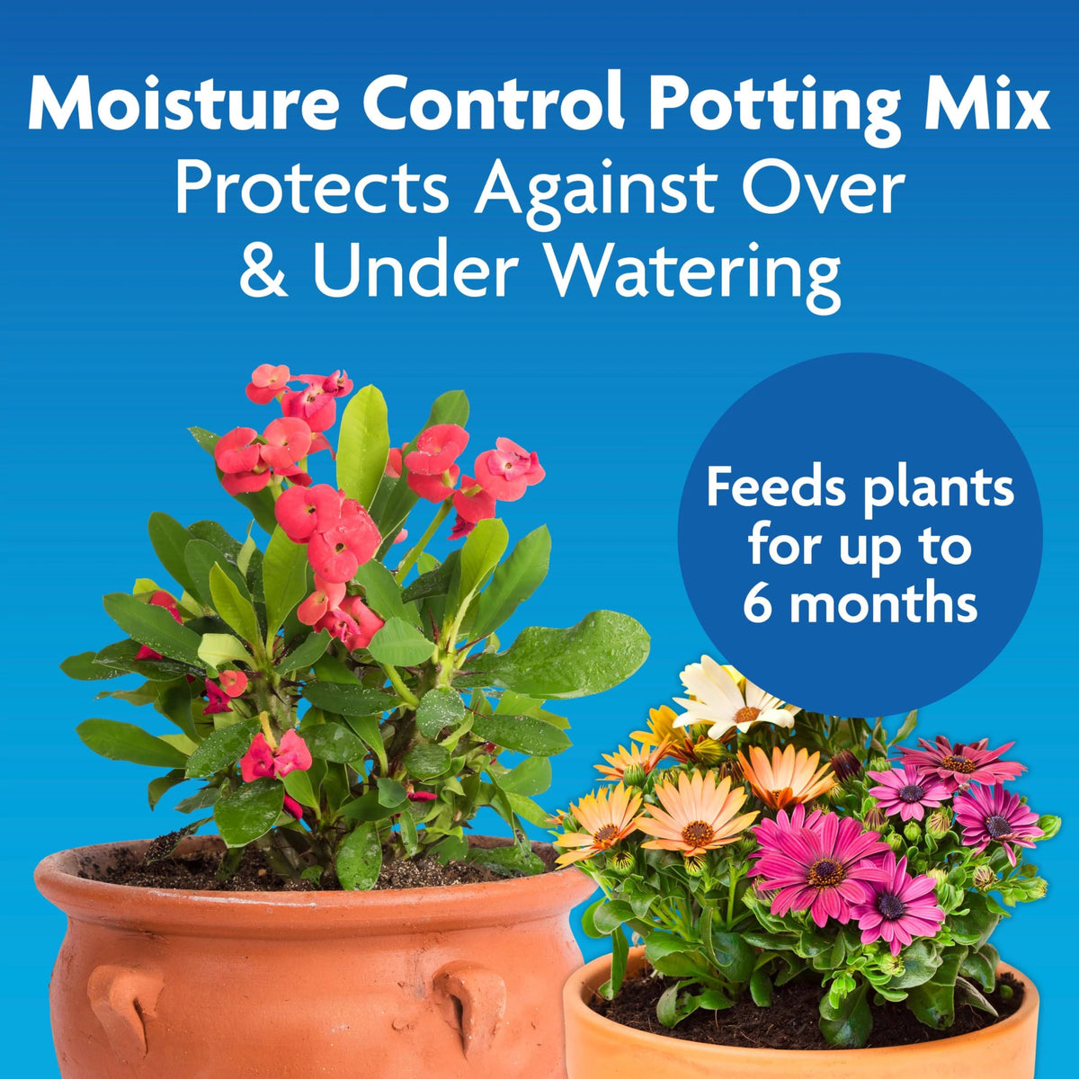 Miracle-Gro Moisture Control Potting Mix, 16 qt.