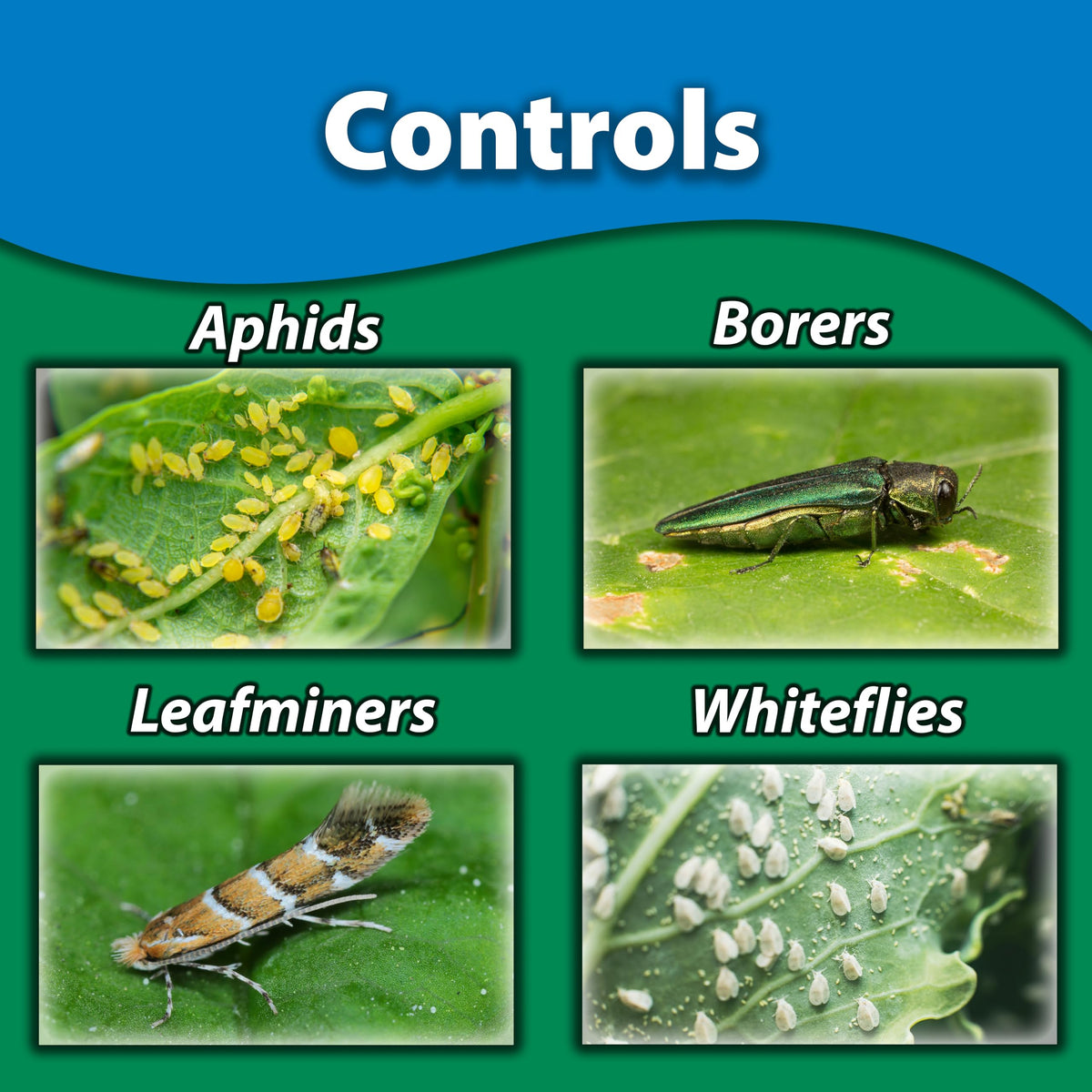 Monterey Once-A-Year Systemic Insect Control II